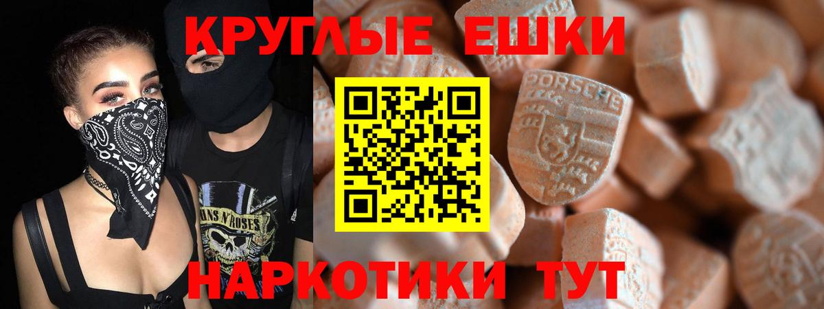Сокол  Ecstasy Philipp Plein  ЭКСТАЗИ  Вход с VPN 