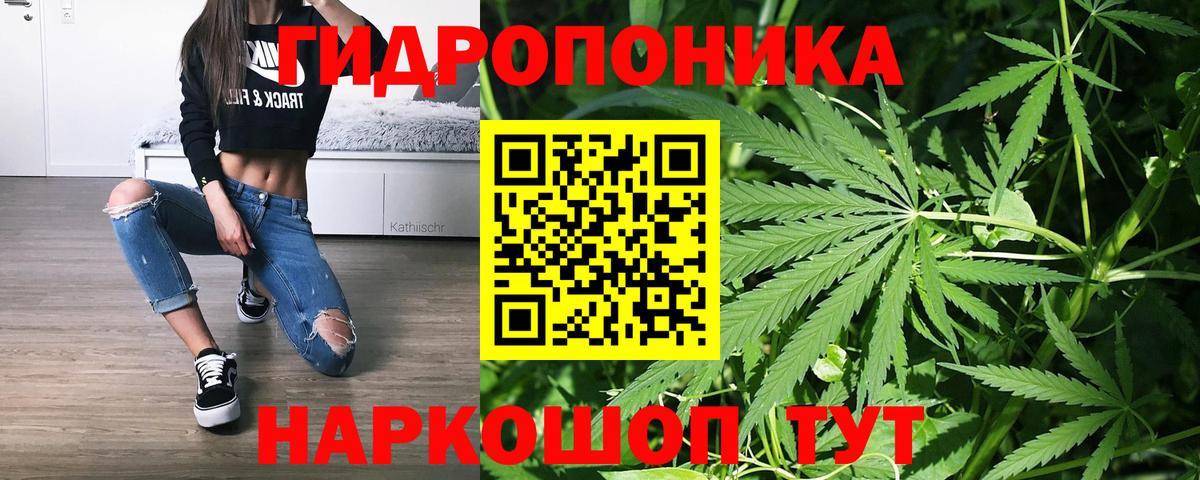 Канабис план  Вход с VPN  Бошки марихуана индика  Бошки Шишки OG Kush  Конопля SATIVA & INDICA  Сокол 